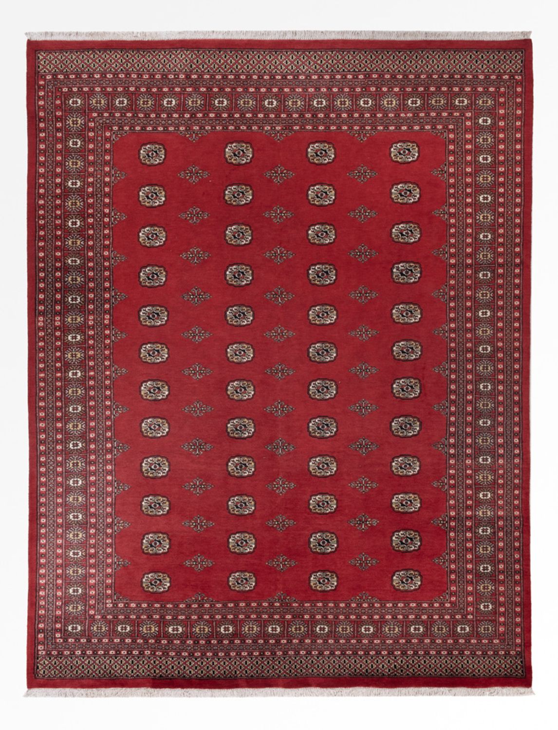 Pakistani Rug - 331 x 251 cm - red