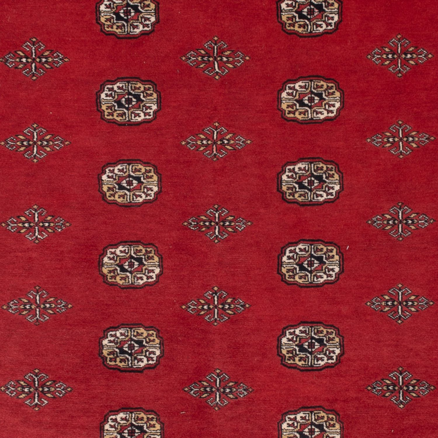 Pakistani Rug - 331 x 251 cm - red