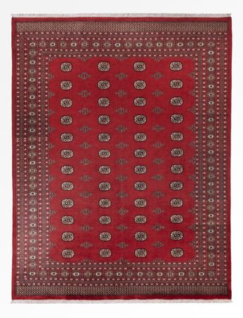 Pakistani Rug - 331 x 251 cm - red