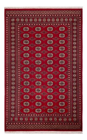 Pakistani Rug - 256 x 167 cm - red