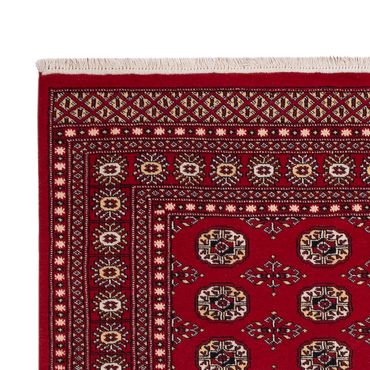 Pakistani Rug - 256 x 167 cm - red
