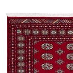 Pakistani Rug - 241 x 154 cm - red