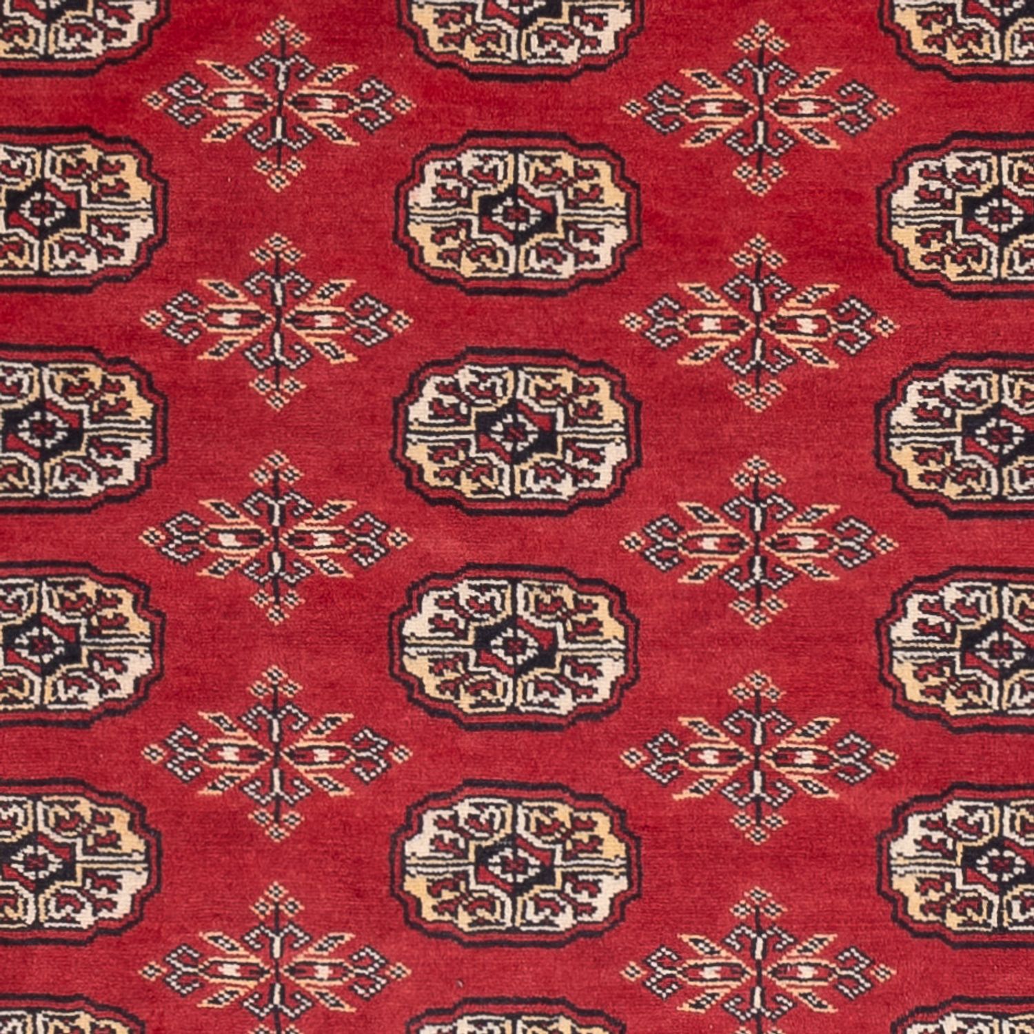 Pakistani Rug - 237 x 158 cm - red