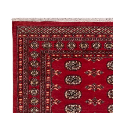 Pakistani Rug - 231 x 172 cm - red