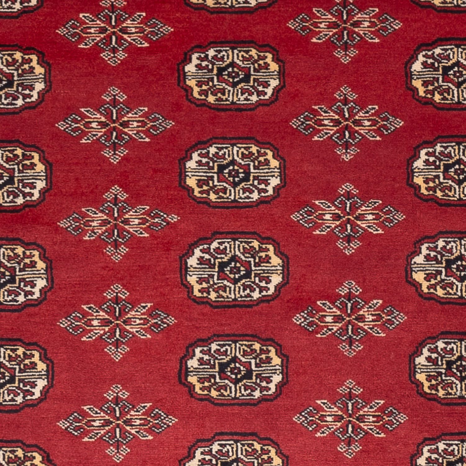 Pakistani Rug - 245 x 170 cm - red