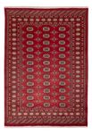 Pakistani Rug - 245 x 170 cm - red
