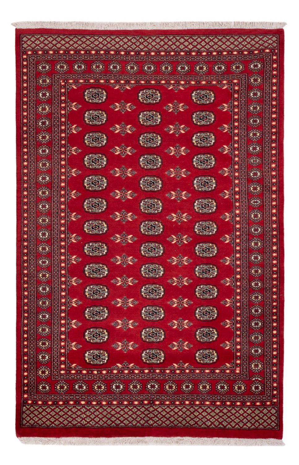 Pakistani Rug - 258 x 179 cm - red