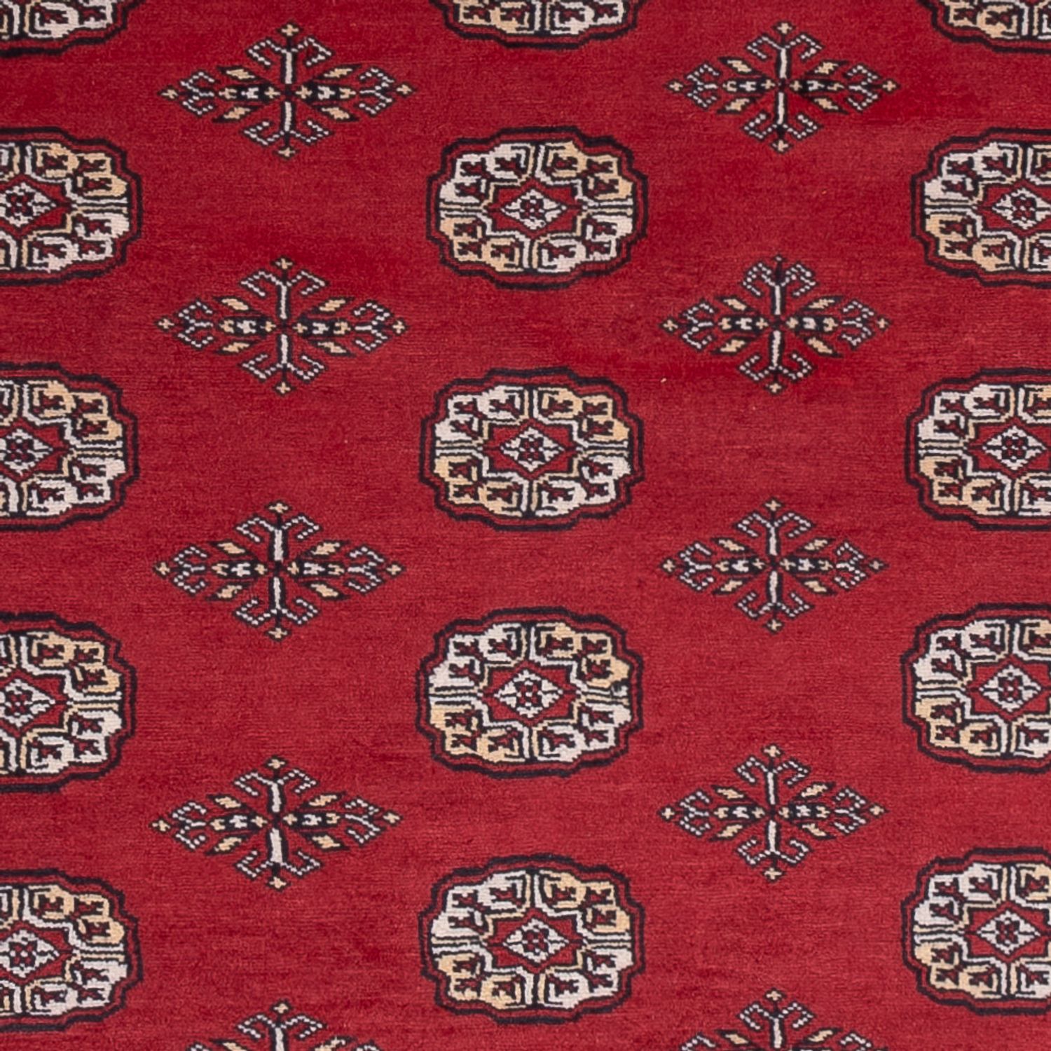 Pakistani Rug - 249 x 167 cm - red