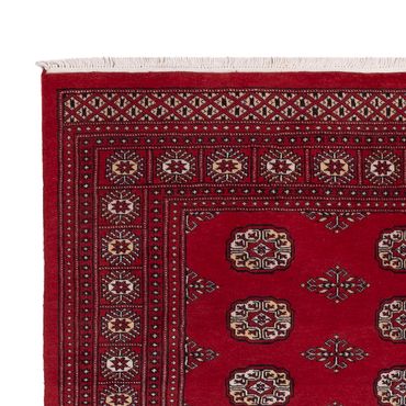 Pakistani Rug - 249 x 167 cm - red