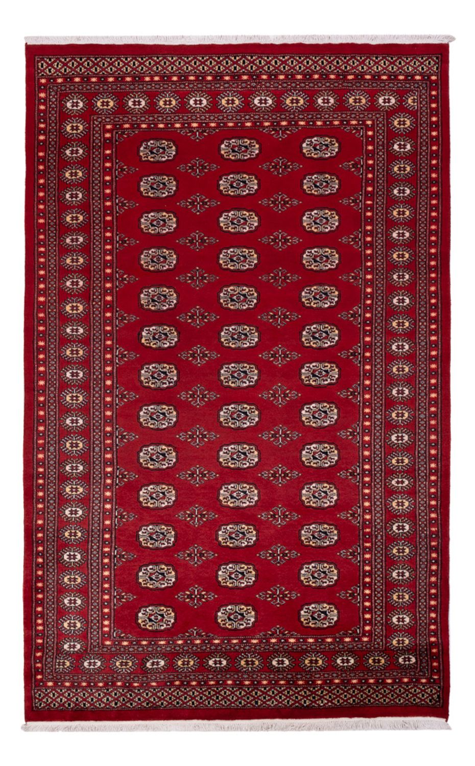 Pakistani Rug - 266 x 167 cm - red