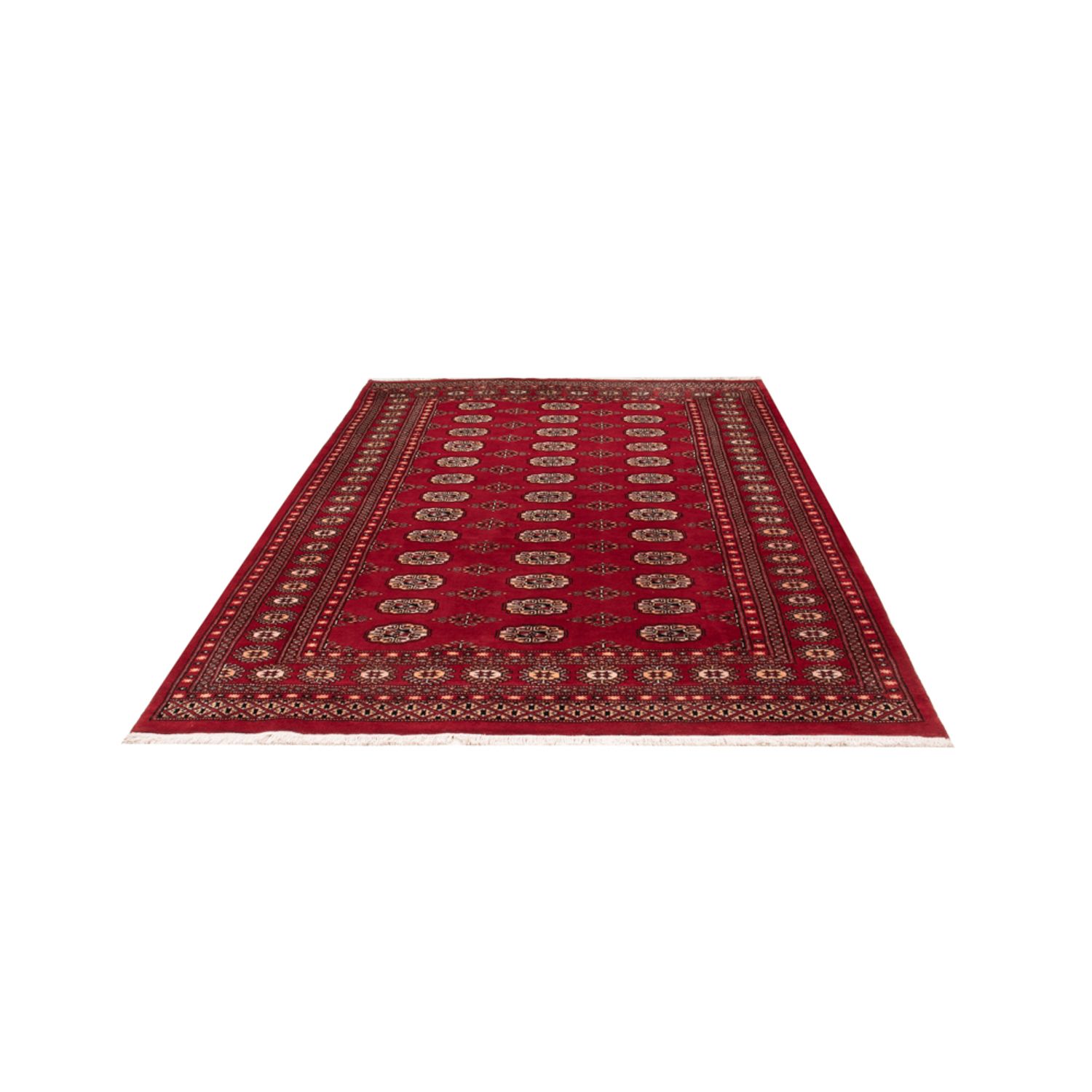 Pakistani Rug - 266 x 167 cm - red