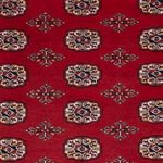 Pakistani Rug - 266 x 167 cm - red