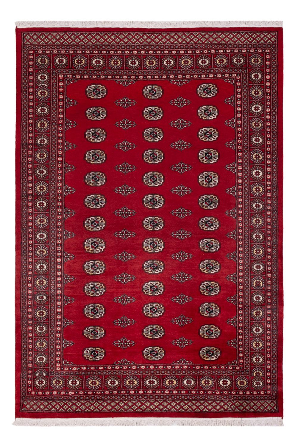 Pakistani Rug - 239 x 164 cm - red