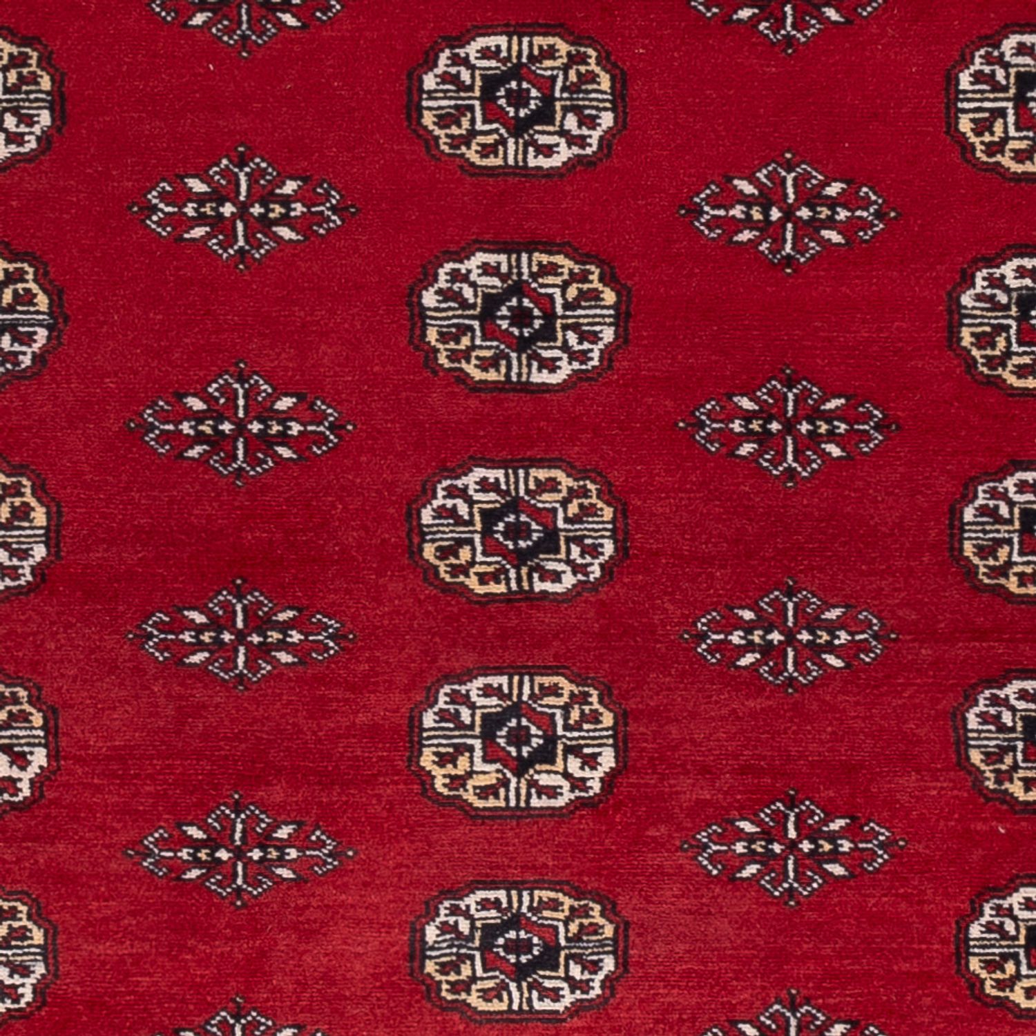 Pakistani Rug - 239 x 164 cm - red