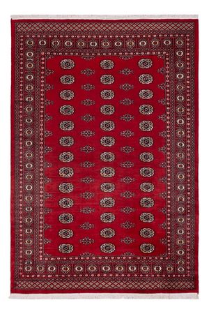 Pakistani Rug - 239 x 164 cm - red