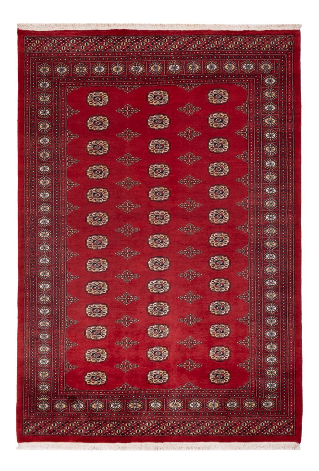 Pakistani Rug - 235 x 165 cm - red