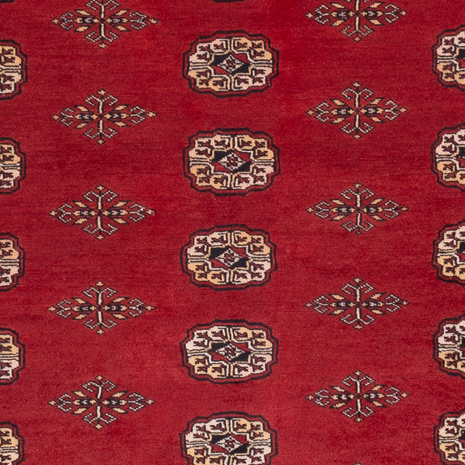 Pakistani Rug - 235 x 165 cm - red
