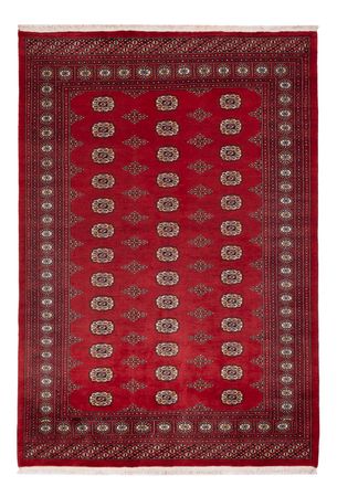 Pakistani Rug - 235 x 165 cm - red
