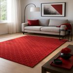 Wool Rug - AstroAura - rectangle