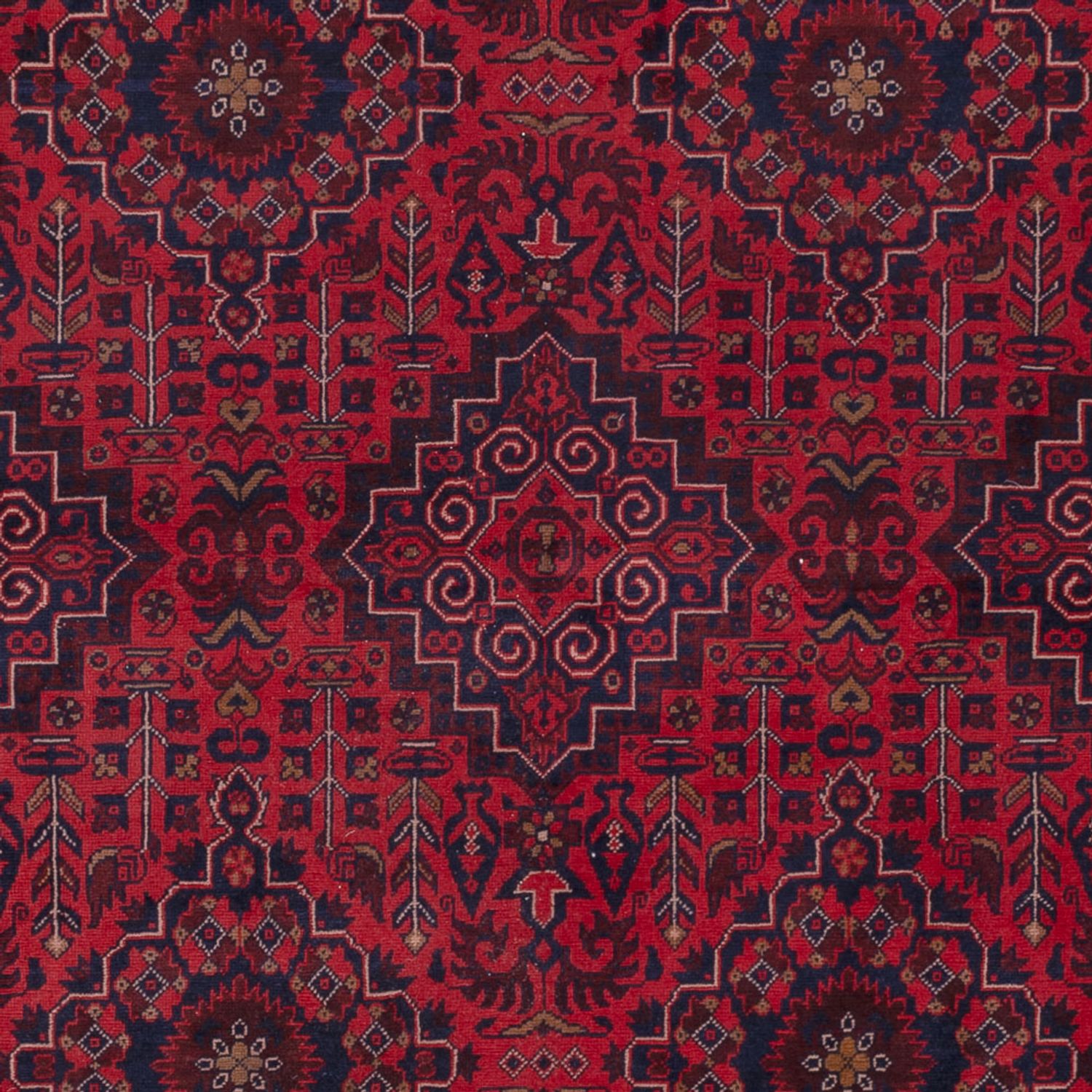Afghan Rug - Royal - 240 x 169 cm - red