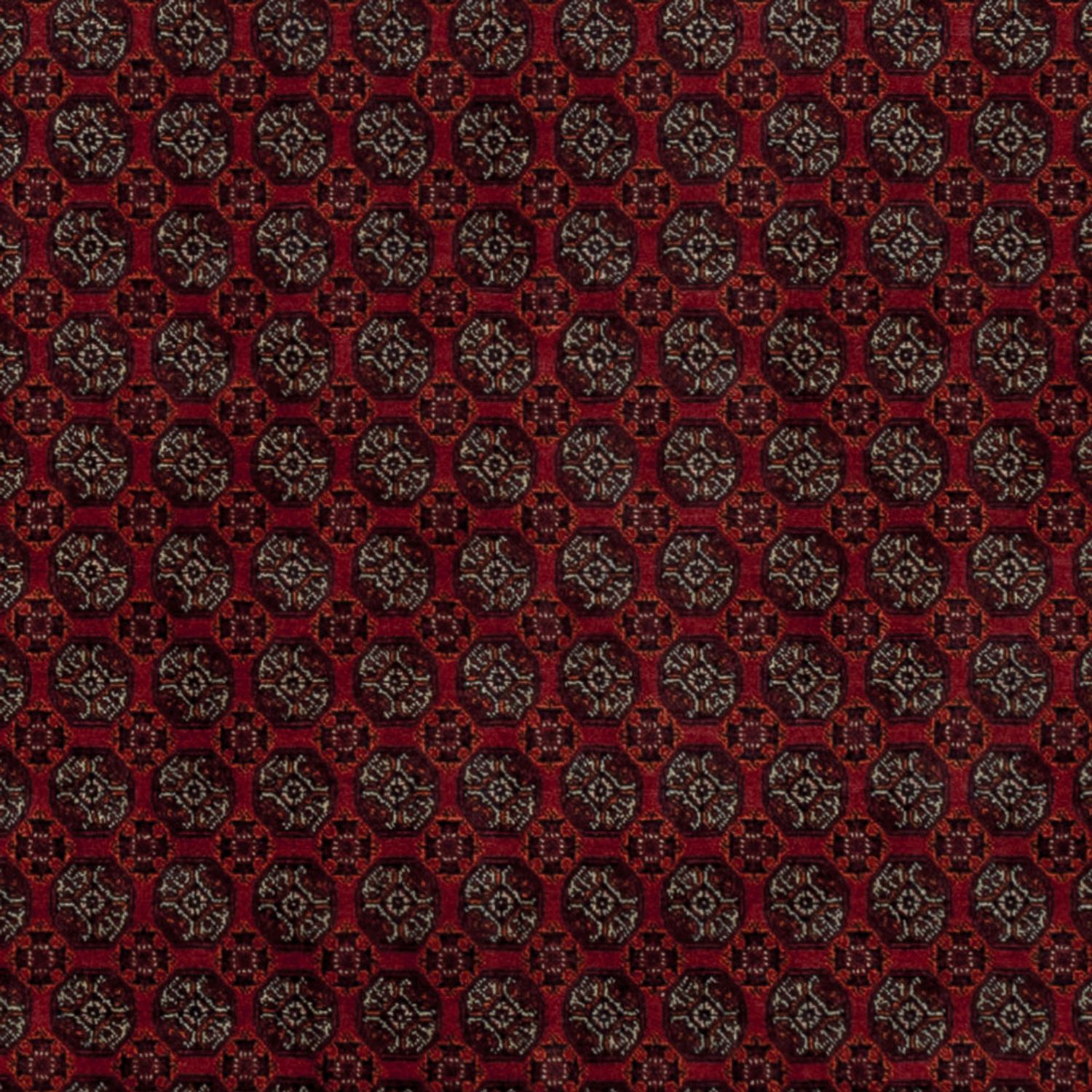 Afghan Rug - Royal - 196 x 150 cm - red