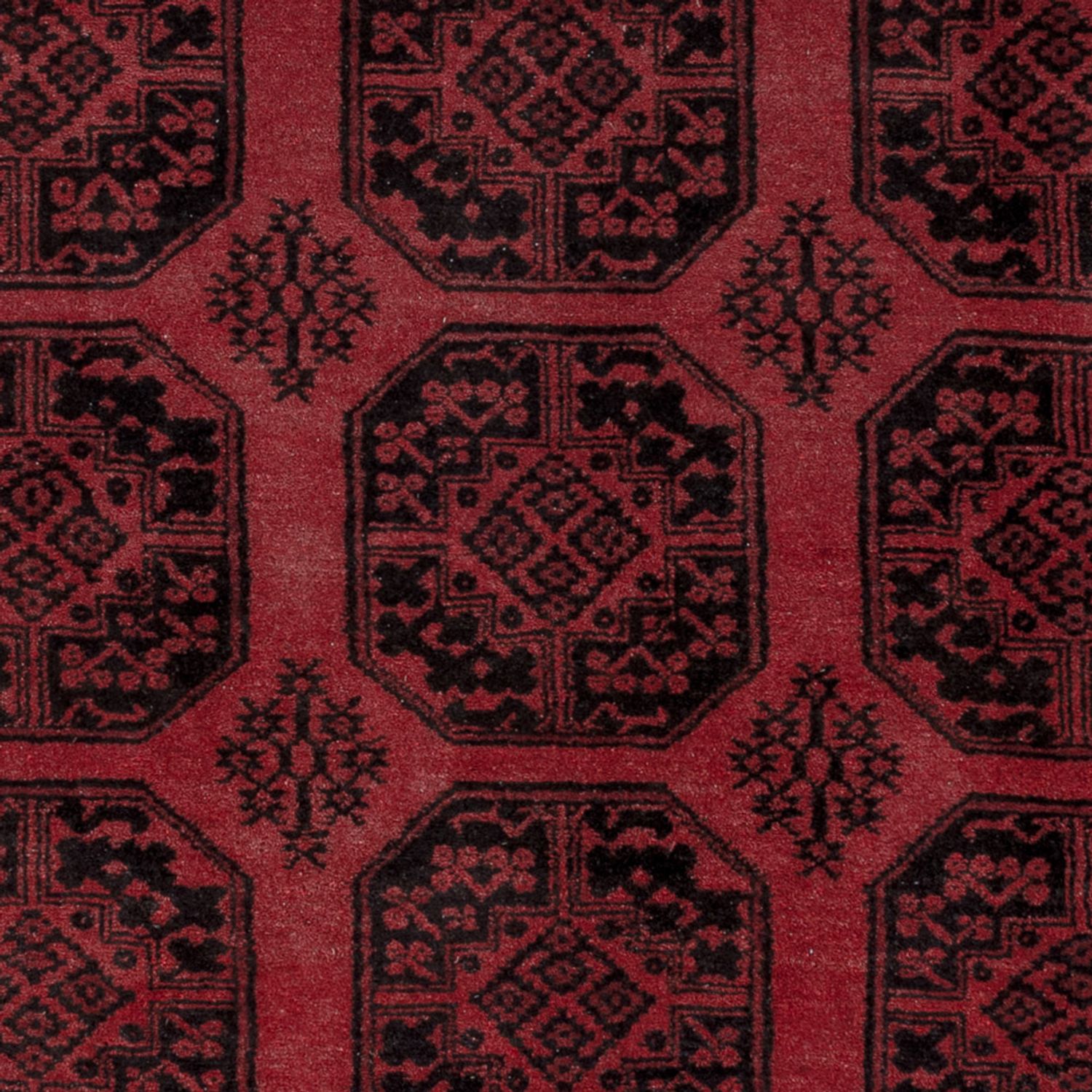Afghan Rug - Filpa - 290 x 207 cm - red