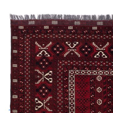 Afghan Rug - 252 x 152 cm - dark red