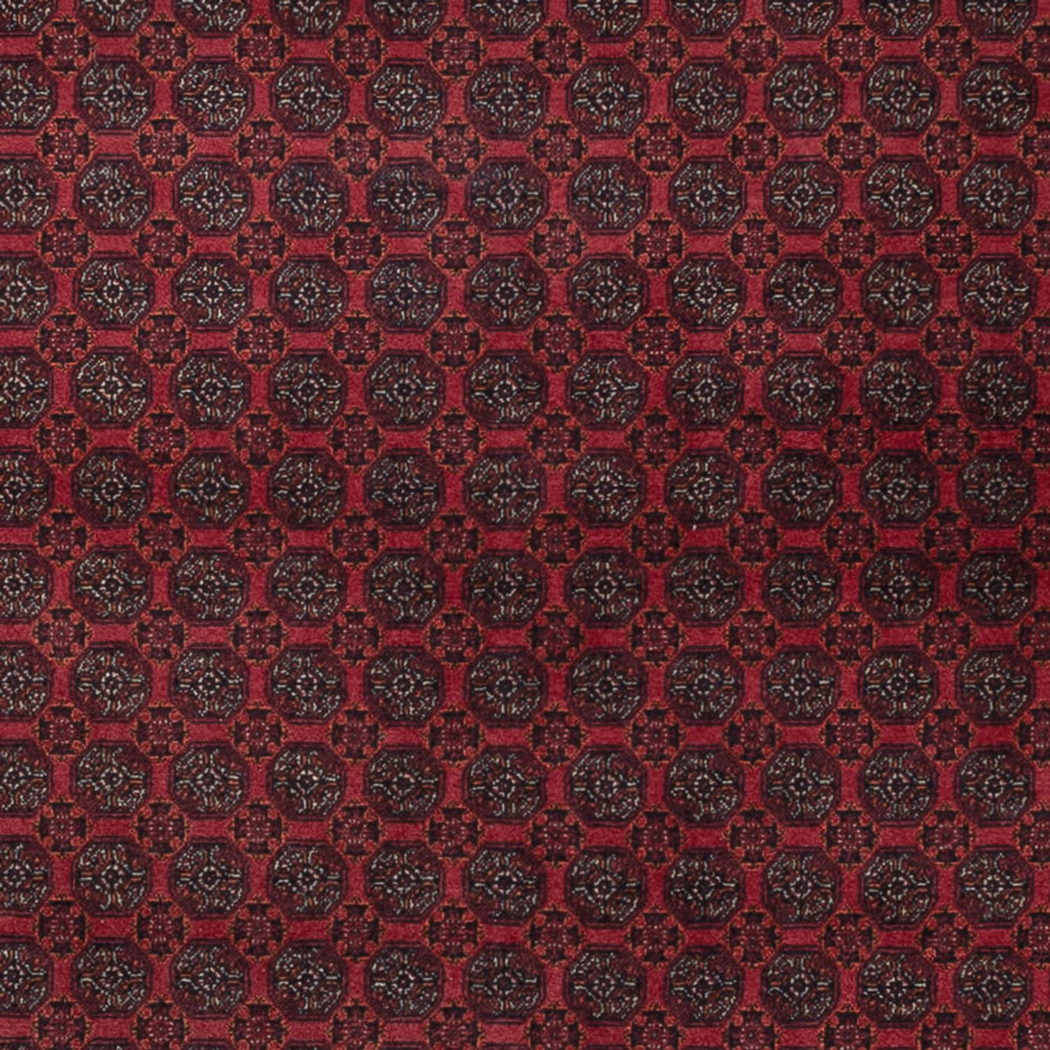 Afghan Rug - Royal - 297 x 198 cm - dark red