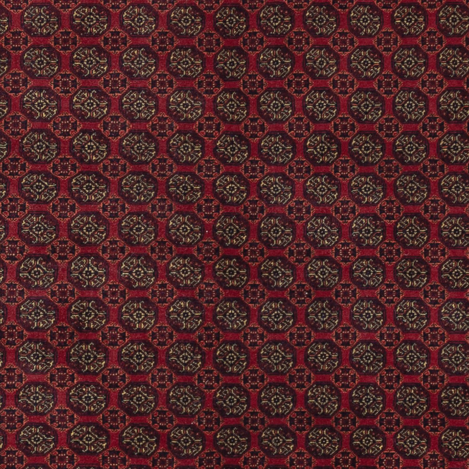 Afghan Rug - Royal - 295 x 206 cm - dark red